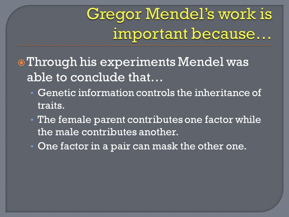  Through his experiments Mendel was able to conclude that… Genetic information controls the inheritance of traits.