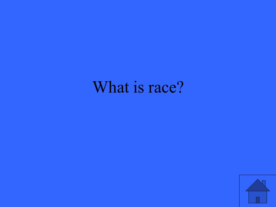 What is race