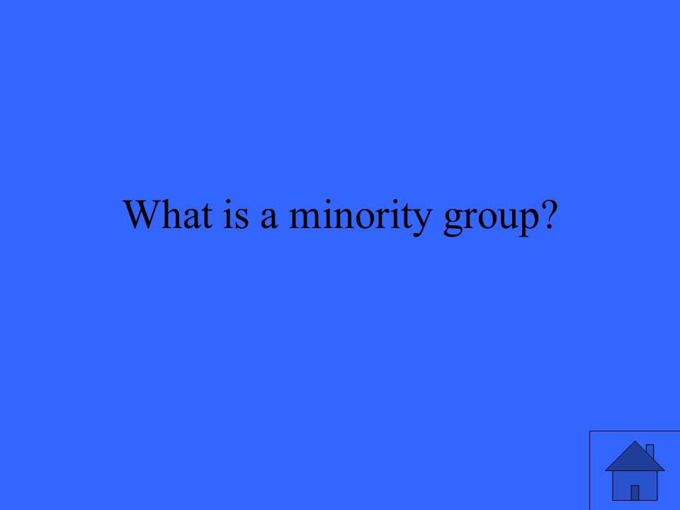 What is a minority group