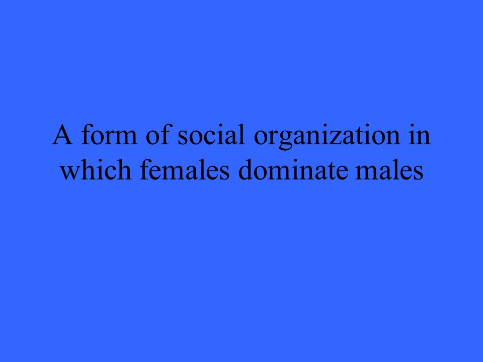 A form of social organization in which females dominate males