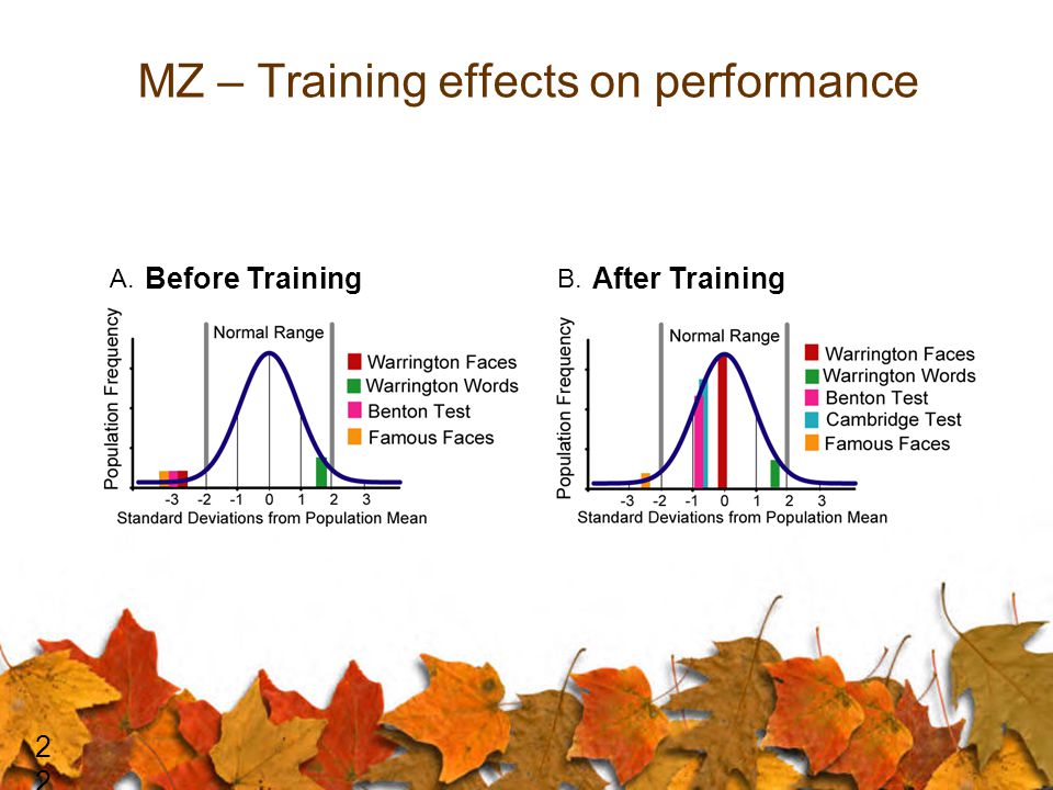 MZ – Training effects on performance 22 Before TrainingAfter Training A.B.