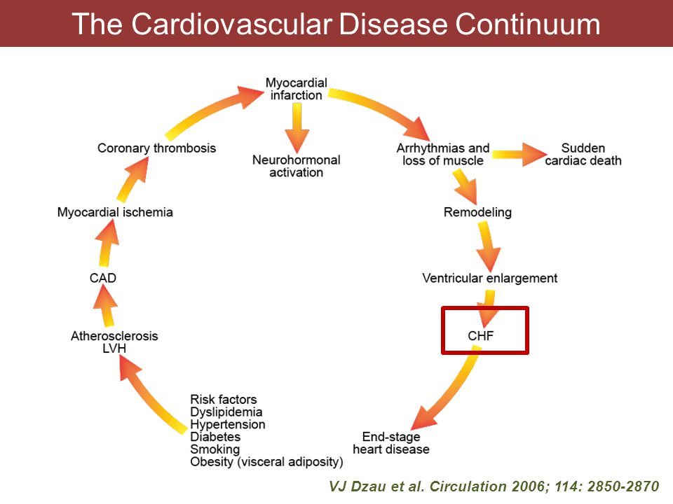 The Cardiovascular Disease Continuum VJ Dzau et al. Circulation 2006; 114: