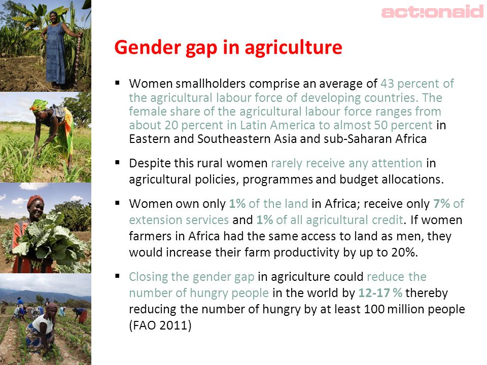 Gender gap in agriculture  Women smallholders comprise an average of 43 percent of the agricultural labour force of developing countries.