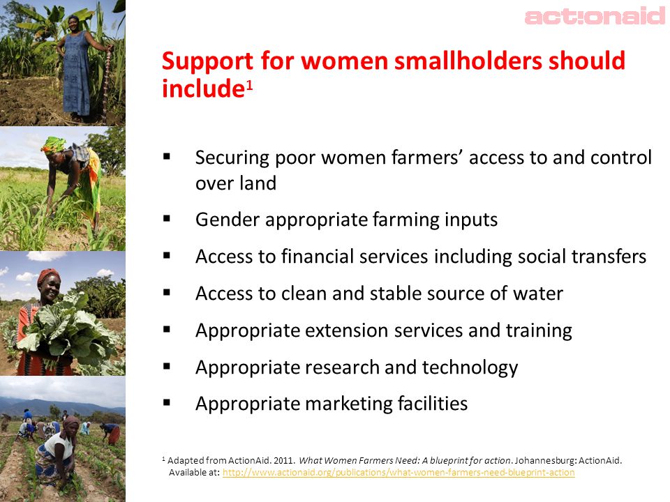 Support for women smallholders should include 1  Securing poor women farmers’ access to and control over land  Gender appropriate farming inputs  Access to financial services including social transfers  Access to clean and stable source of water  Appropriate extension services and training  Appropriate research and technology  Appropriate marketing facilities 1 Adapted from ActionAid.