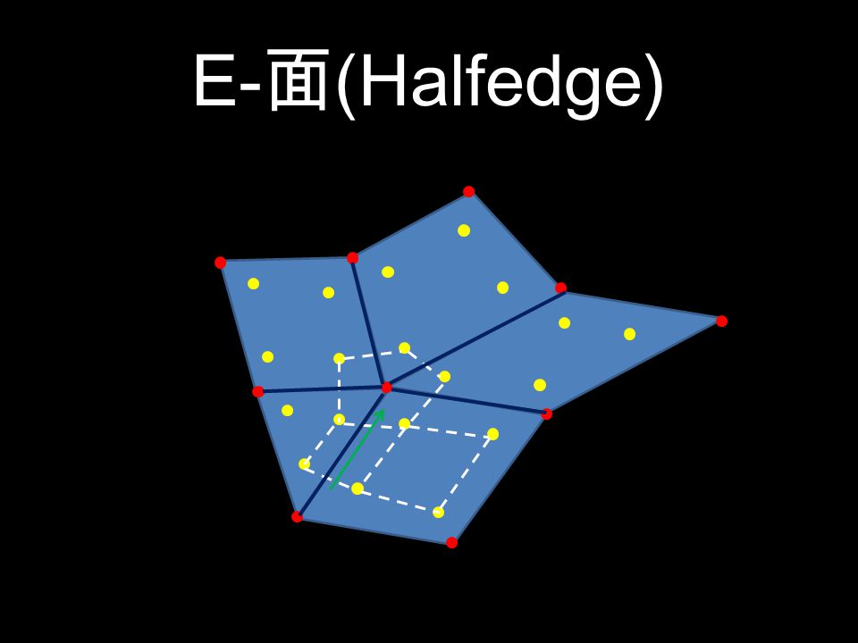 E- 面 (Halfedge)