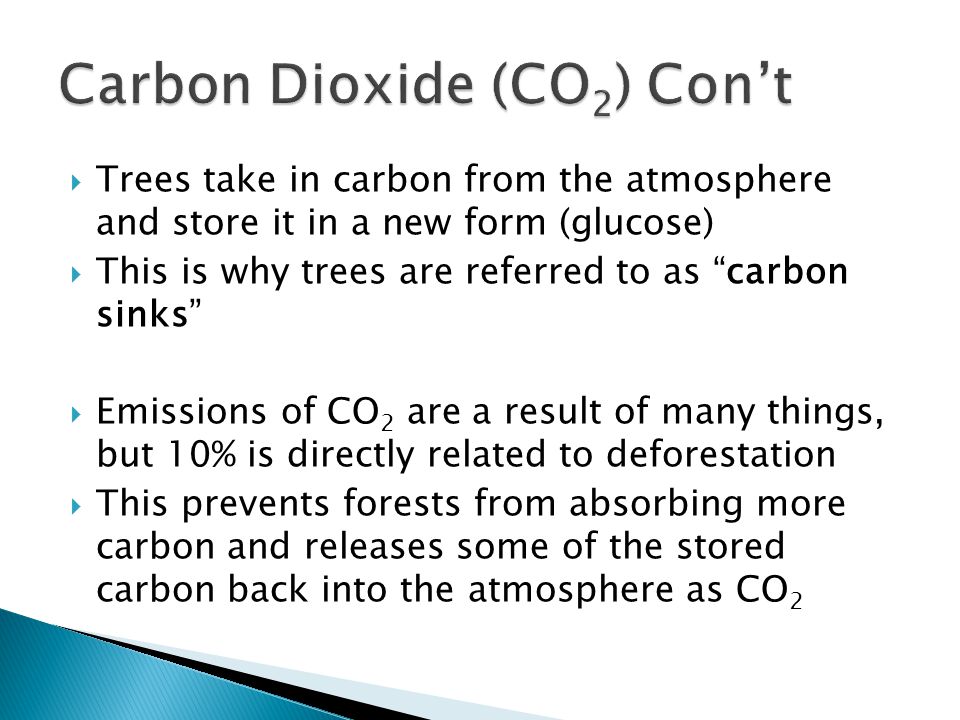  Trees take in carbon from the atmosphere and store it in a new form (glucose)  This is why trees are referred to as carbon sinks  Emissions of CO 2 are a result of many things, but 10% is directly related to deforestation  This prevents forests from absorbing more carbon and releases some of the stored carbon back into the atmosphere as CO 2