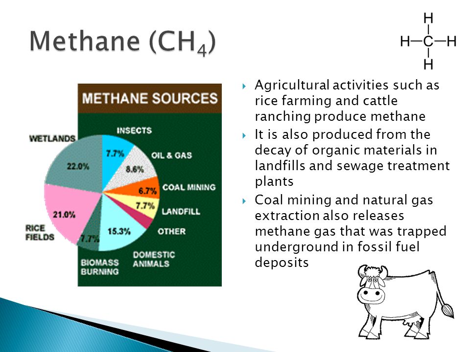  Agricultural activities such as rice farming and cattle ranching produce methane  It is also produced from the decay of organic materials in landfills and sewage treatment plants  Coal mining and natural gas extraction also releases methane gas that was trapped underground in fossil fuel deposits