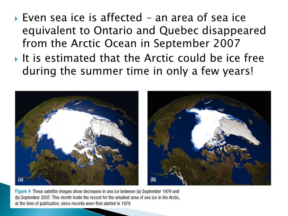 Even sea ice is affected – an area of sea ice equivalent to Ontario and Quebec disappeared from the Arctic Ocean in September 2007  It is estimated that the Arctic could be ice free during the summer time in only a few years!