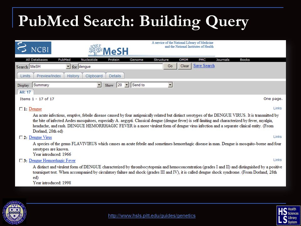 PubMed Search: Building Query