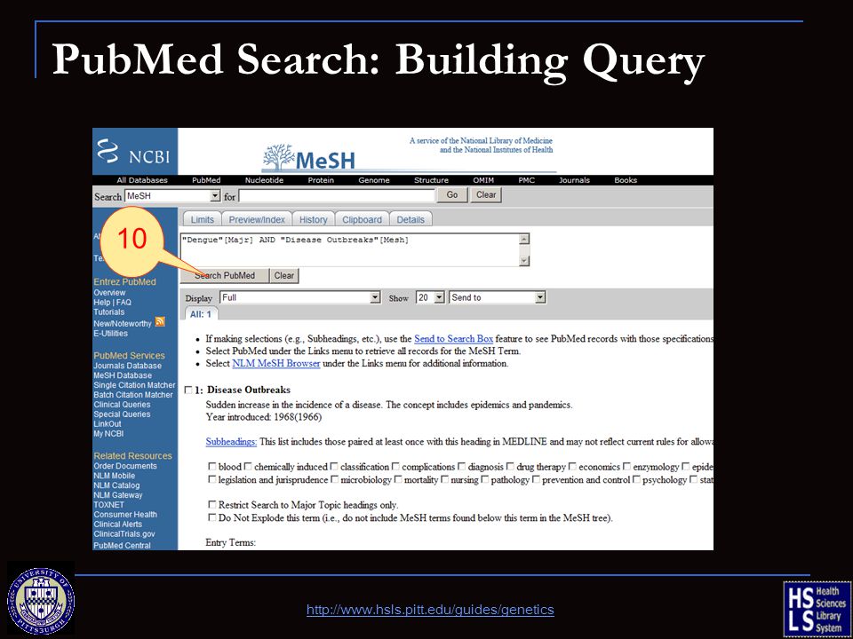 PubMed Search: Building Query 10