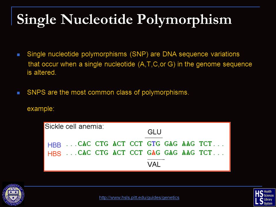 Single Nucleotide Polymorphism Single nucleotide polymorphisms (SNP) are DNA sequence variations that occur when a single nucleotide (A,T,C,or G) in the genome sequence is altered.