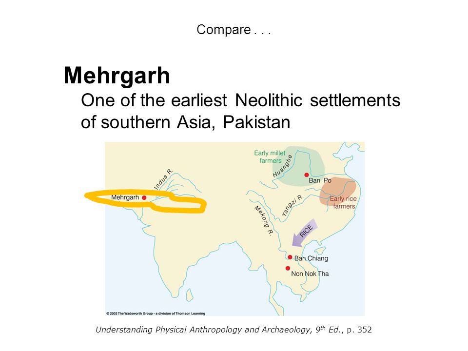 Mehrgarh One of the earliest Neolithic settlements of southern Asia, Pakistan Understanding Physical Anthropology and Archaeology, 9 th Ed., p.