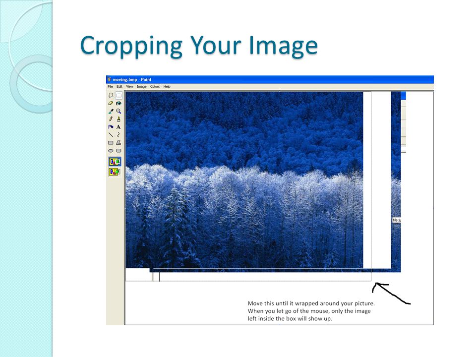 Cropping Your Image