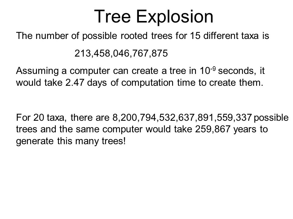 The number of possible rooted trees for 15 different taxa is 213,458,046,767,875 Assuming a computer can create a tree in seconds, it would take 2.47 days of computation time to create them.