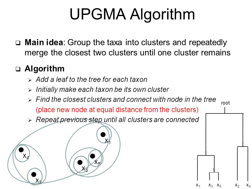  Main idea: Group the taxa into clusters and repeatedly merge the closest two clusters until one cluster remains  Algorithm  Add a leaf to the tree for each taxon  Initially make each taxon be its own cluster  Find the closest clusters and connect with node in the tree (place new node at equal distance from the clusters)  Repeat previous step until all clusters are connected UPGMA Algorithm x4x4 x2x2 x3x3 x5x5 x1x1 x3x3 x5x5 x1x1 x2x2 x4x4 root