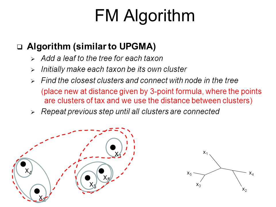  Algorithm (similar to UPGMA)  Add a leaf to the tree for each taxon  Initially make each taxon be its own cluster  Find the closest clusters and connect with node in the tree (place new at distance given by 3-point formula, where the points are clusters of tax and we use the distance between clusters)  Repeat previous step until all clusters are connected FM Algorithm x4x4 x2x2 x3x3 x5x5 x1x1 x3x3 x5x5 x1x1 x2x2 x4x4