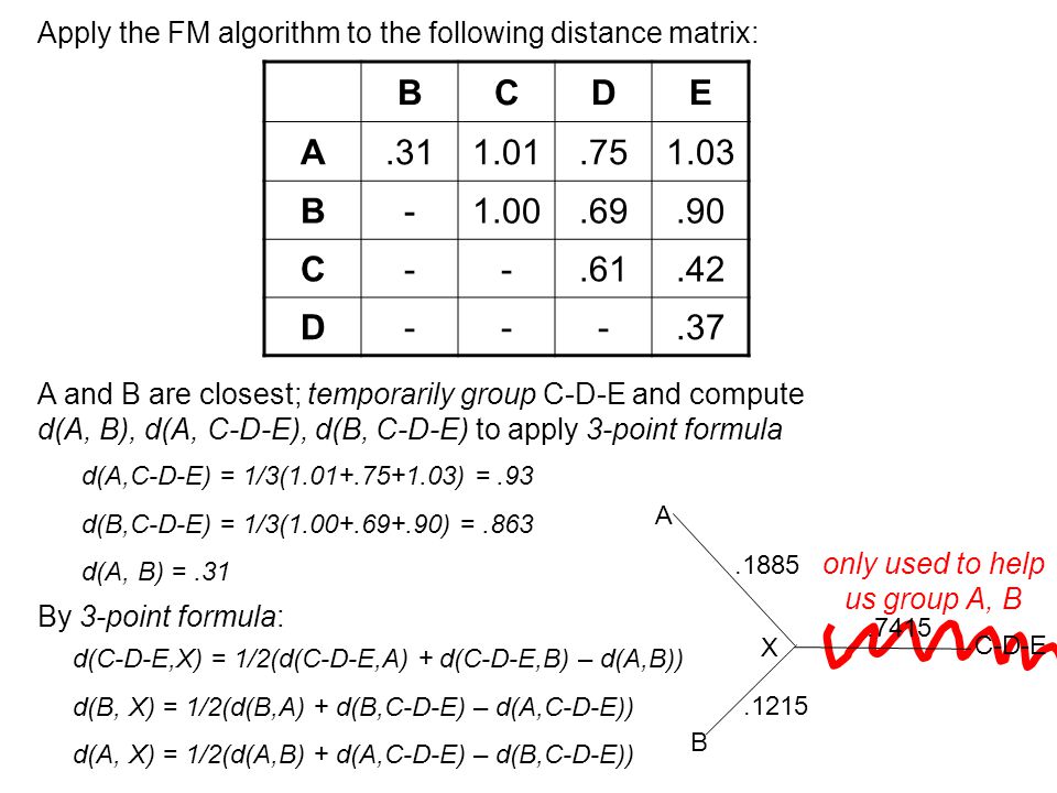 Apply the FM algorithm to the following distance matrix: BCDE A B C D A and B are closest; temporarily group C-D-E and compute d(A, B), d(A, C-D-E), d(B, C-D-E) to apply 3-point formula d(A,C-D-E) = 1/3( ) =.93 d(B,C-D-E) = 1/3( ) =.863 d(A, B) =.31 only used to help us group A, B By 3-point formula: d(C-D-E,X) = 1/2(d(C-D-E,A) + d(C-D-E,B) – d(A,B)) d(B, X) = 1/2(d(B,A) + d(B,C-D-E) – d(A,C-D-E)) d(A, X) = 1/2(d(A,B) + d(A,C-D-E) – d(B,C-D-E)) C-D-E.7415 A B X