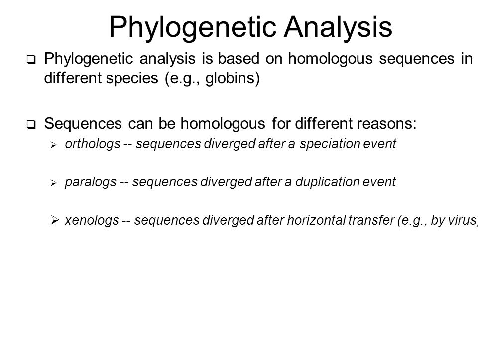  Phylogenetic analysis is based on homologous sequences in different species (e.g., globins)  Sequences can be homologous for different reasons:  orthologs -- sequences diverged after a speciation event  paralogs -- sequences diverged after a duplication event  xenologs -- sequences diverged after horizontal transfer (e.g., by virus) Phylogenetic Analysis