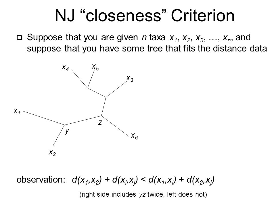  Suppose that you are given n taxa x 1, x 2, x 3, …, x n, and suppose that you have some tree that fits the distance data NJ closeness Criterion observation: d(x 1,x 2 ) + d(x i,x j ) < d(x 1,x i ) + d(x 2,x j ) x2x2 x1x1 x4x4 x5x5 x3x3 x6x6 y z (right side includes yz twice, left does not)