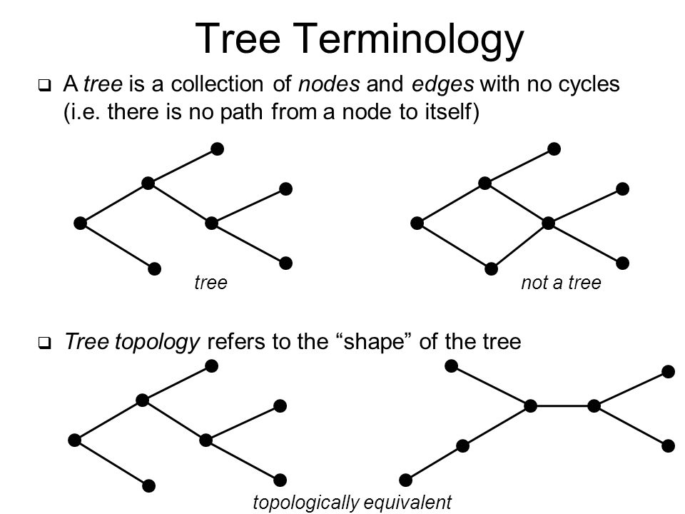  A tree is a collection of nodes and edges with no cycles (i.e.