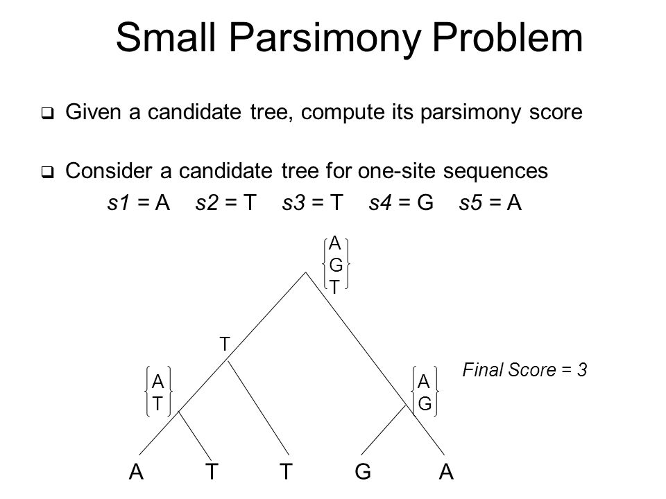 Small Parsimony Problem  Given a candidate tree, compute its parsimony score  Consider a candidate tree for one-site sequences s1 = A s2 = T s3 = T s4 = G s5 = A A T T G A ATAT AGAG T AGTAGT Final Score = 3