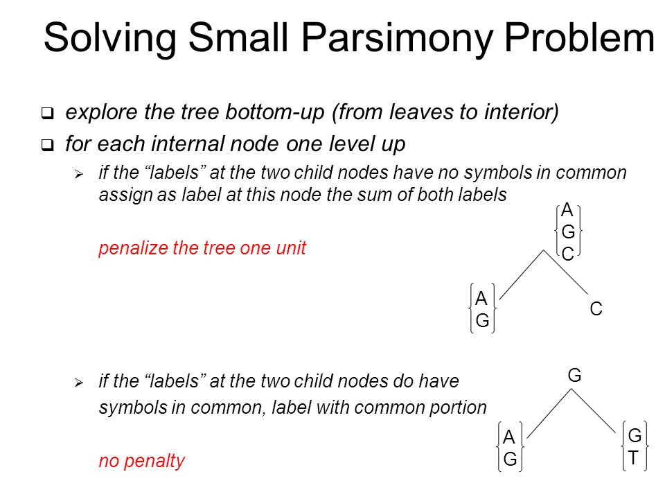 Solving Small Parsimony Problem  explore the tree bottom-up (from leaves to interior)  for each internal node one level up  if the labels at the two child nodes have no symbols in common assign as label at this node the sum of both labels penalize the tree one unit  if the labels at the two child nodes do have symbols in common, label with common portion no penalty AGCAGC AGAG C AGAG GTGT G