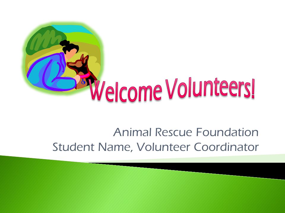 Animal Rescue Foundation Student Name, Volunteer Coordinator