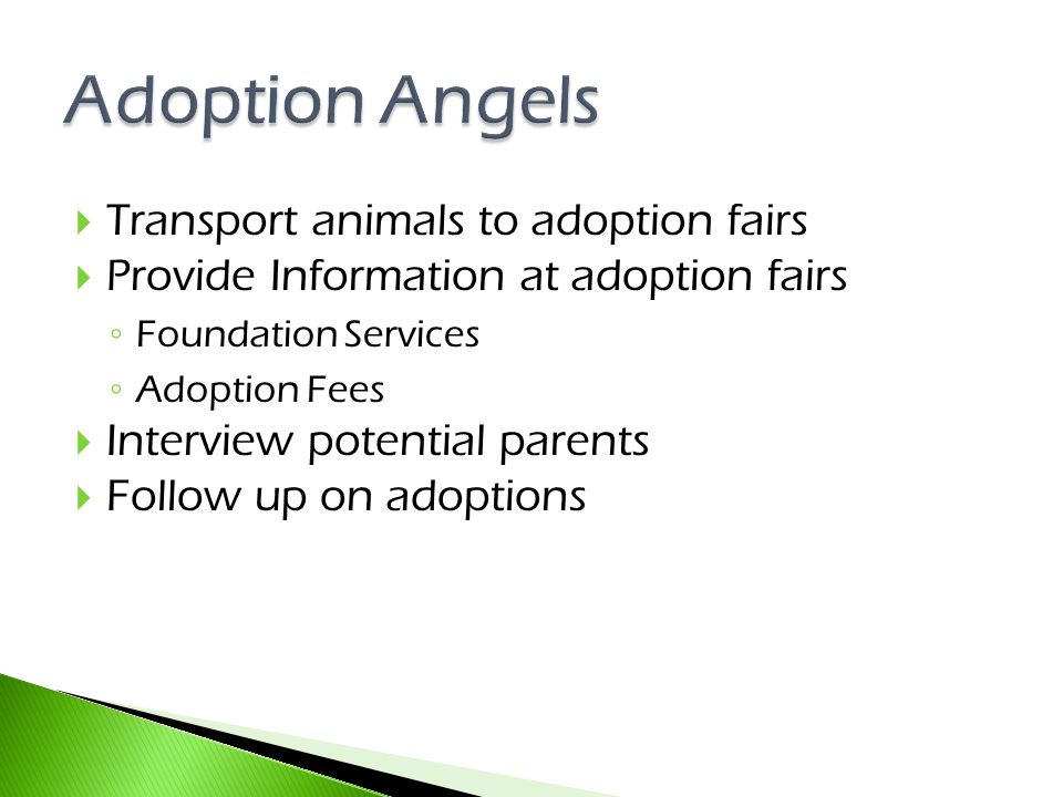  Transport animals to adoption fairs  Provide Information at adoption fairs ◦ Foundation Services ◦ Adoption Fees  Interview potential parents  Follow up on adoptions
