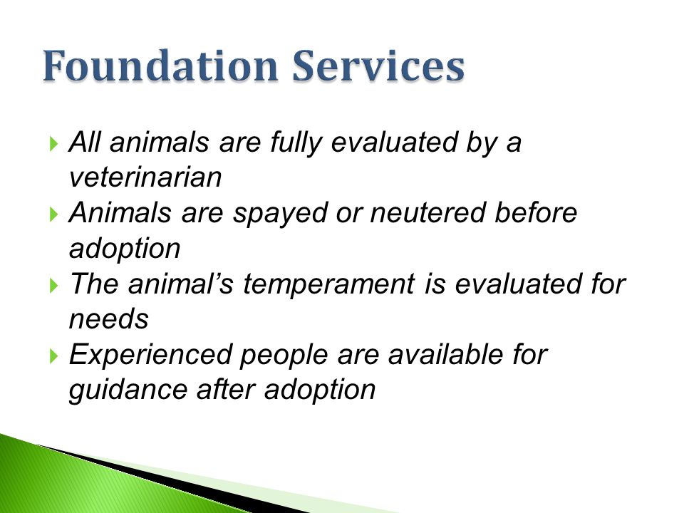  All animals are fully evaluated by a veterinarian  Animals are spayed or neutered before adoption  The animal’s temperament is evaluated for needs  Experienced people are available for guidance after adoption