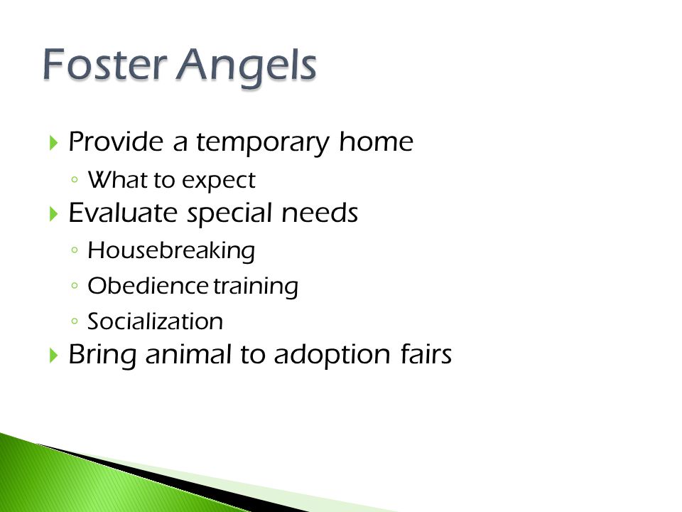  Provide a temporary home ◦ What to expect  Evaluate special needs ◦ Housebreaking ◦ Obedience training ◦ Socialization  Bring animal to adoption fairs
