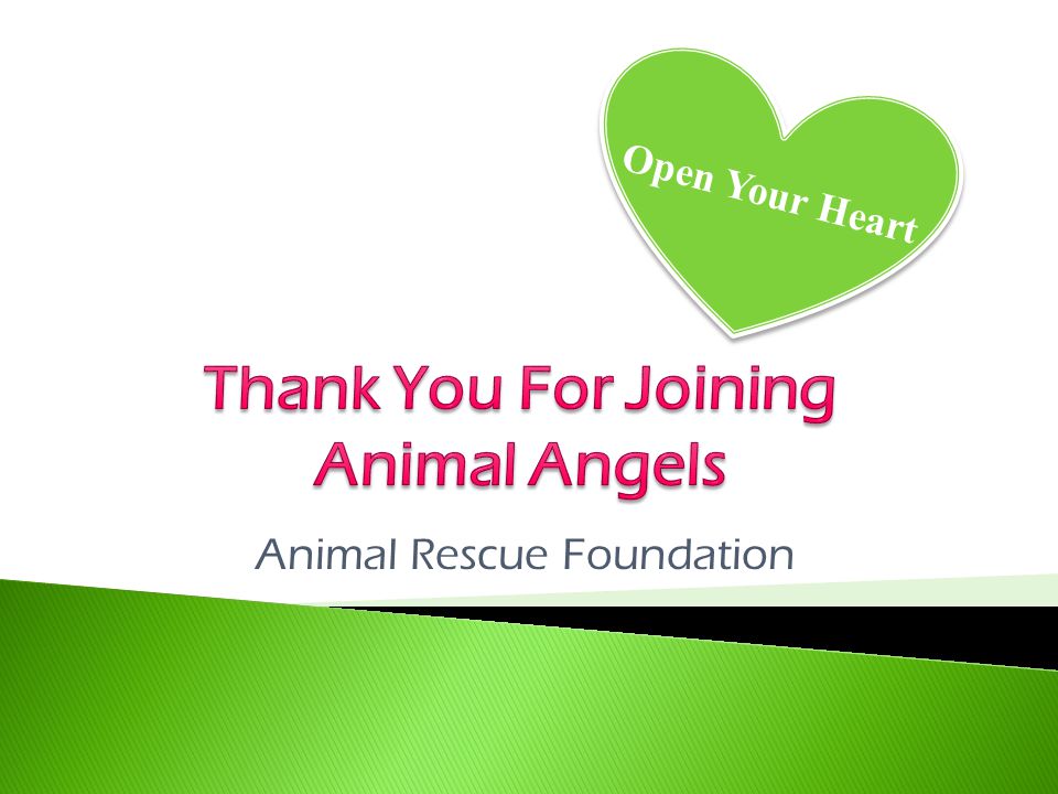 Animal Rescue Foundation Open Your Heart