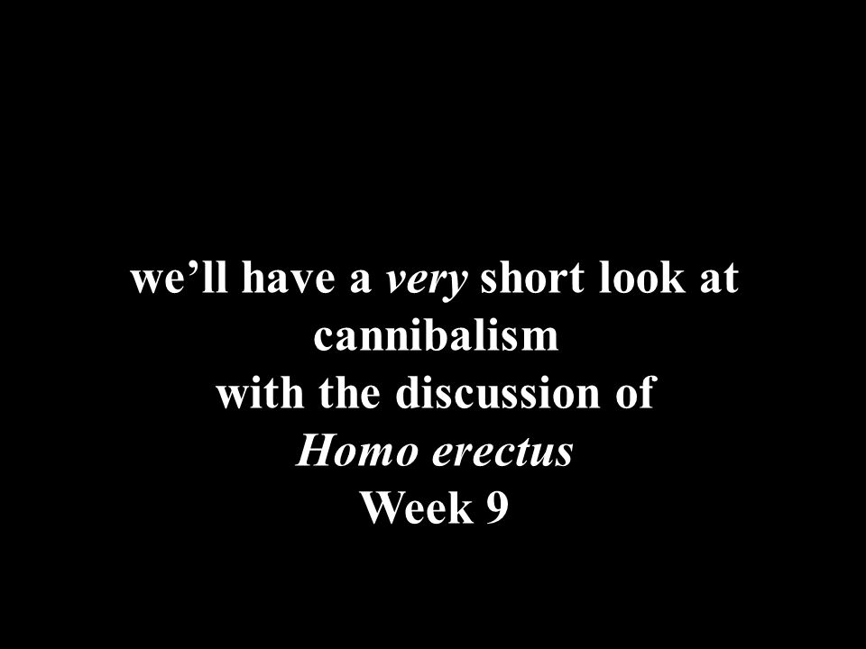 we’ll have a very short look at cannibalism with the discussion of Homo erectus Week 9