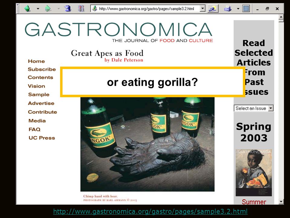 Spring 2003 or eating gorilla