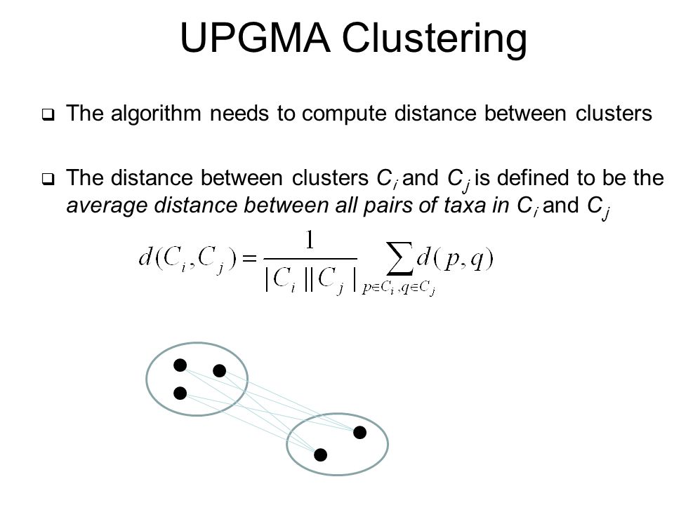  The algorithm needs to compute distance between clusters  The distance between clusters C i and C j is defined to be the average distance between all pairs of taxa in C i and C j UPGMA Clustering