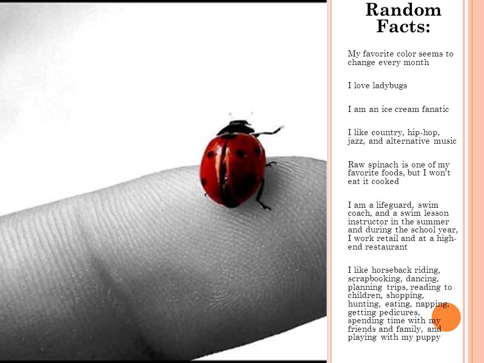 Random Facts: My favorite color seems to change every month I love ladybugs I am an ice cream fanatic I like country, hip-hop, jazz, and alternative music Raw spinach is one of my favorite foods, but I won’t eat it cooked I am a lifeguard, swim coach, and a swim lesson instructor in the summer and during the school year, I work retail and at a high- end restaurant I like horseback riding, scrapbooking, dancing, planning trips, reading to children, shopping, hunting, eating, napping, getting pedicures, spending time with my friends and family, and playing with my puppy