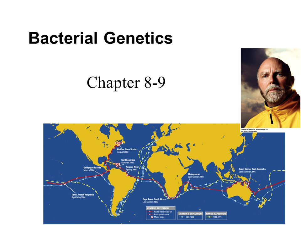 1 Bacterial Genetics Chapter 8-9