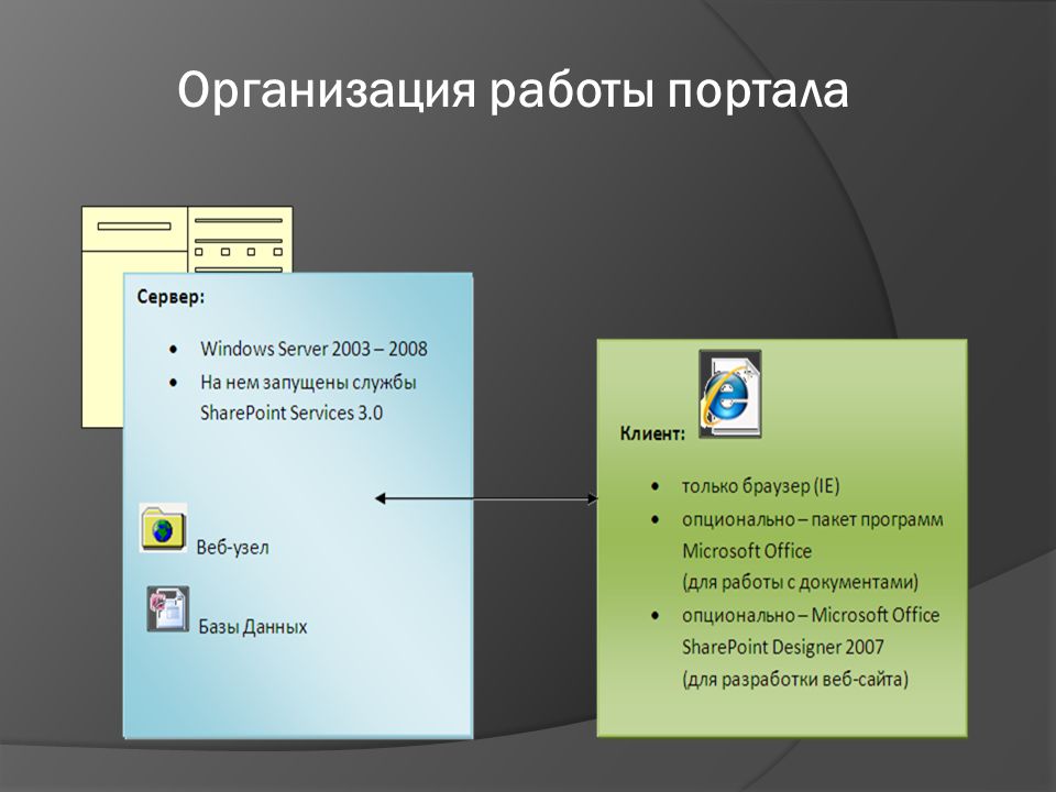 Опционально. Пакеты программ мультимедиа. Portal Server преимущества. Организация ё.