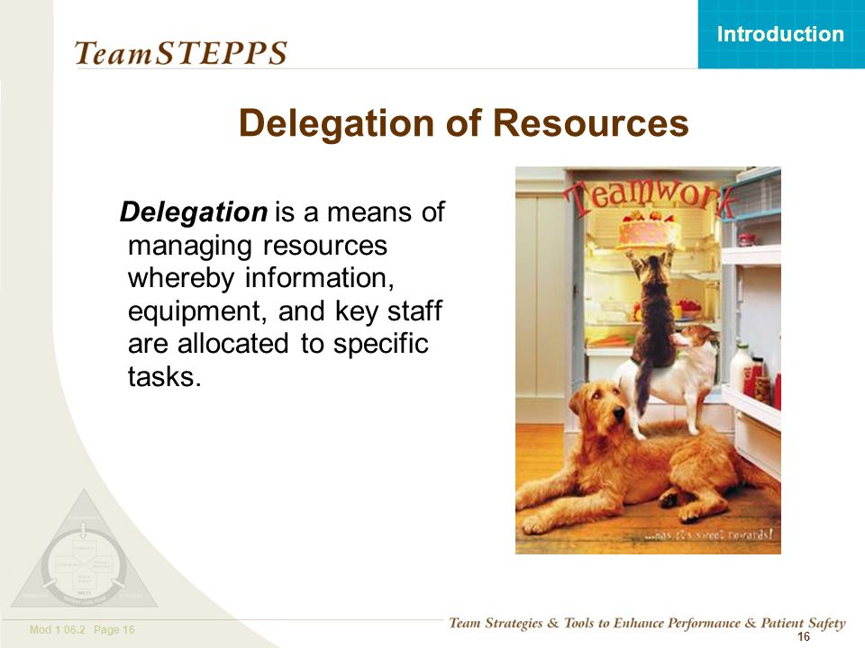 T EAM STEPPS 05.2 Mod Page 16 Introduction Mod Page Delegation of Resources Delegation is a means of managing resources whereby information, equipment, and key staff are allocated to specific tasks.