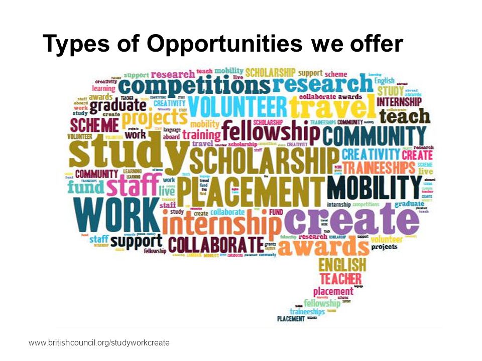 Types of Opportunities we offer