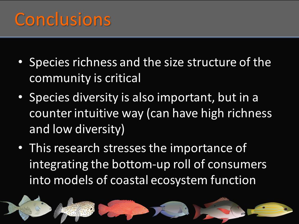 Conclusions Species richness and the size structure of the community is critical Species diversity is also important, but in a counter intuitive way (can have high richness and low diversity) This research stresses the importance of integrating the bottom-up roll of consumers into models of coastal ecosystem function
