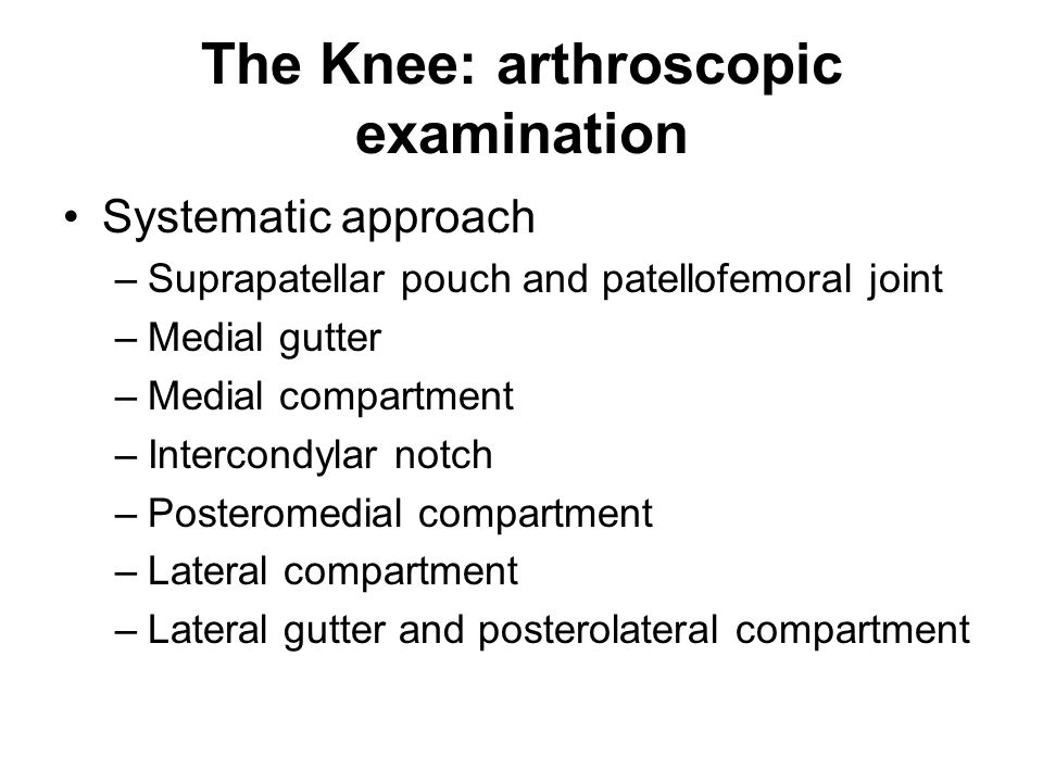 Arthroscopic Anatomy Of The Knee Musculoskeletal Key
