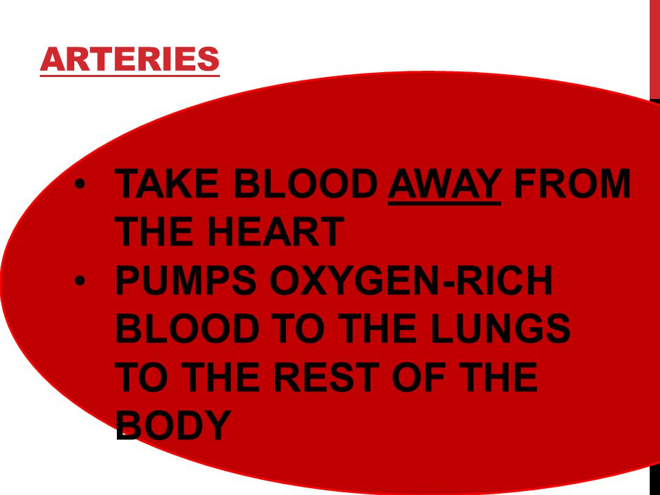 ARTERIES TAKE BLOOD AWAY FROM THE HEART PUMPS OXYGEN-RICH BLOOD TO THE LUNGS TO THE REST OF THE BODY
