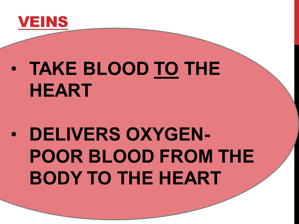 VEINS TAKE BLOOD TO THE HEART DELIVERS OXYGEN- POOR BLOOD FROM THE BODY TO THE HEART