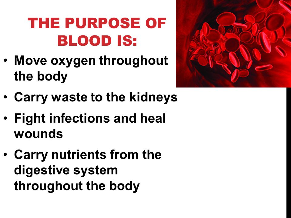 THE PURPOSE OF BLOOD IS: Move oxygen throughout the body Carry waste to the kidneys Fight infections and heal wounds Carry nutrients from the digestive system throughout the body