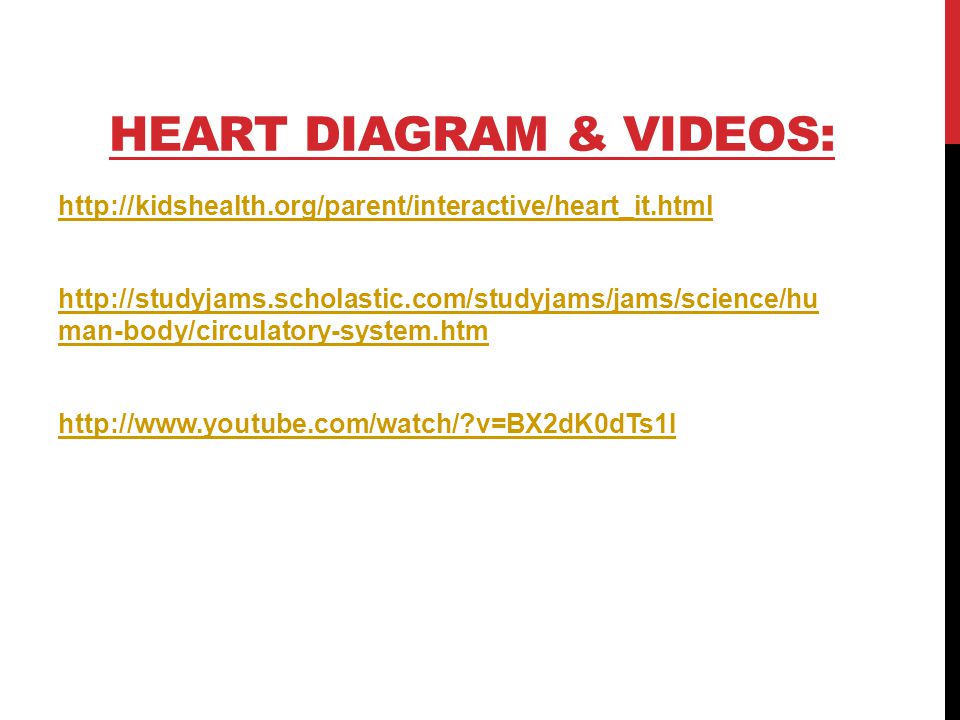 HEART DIAGRAM & VIDEOS:     man-body/circulatory-system.htm   v=BX2dK0dTs1I