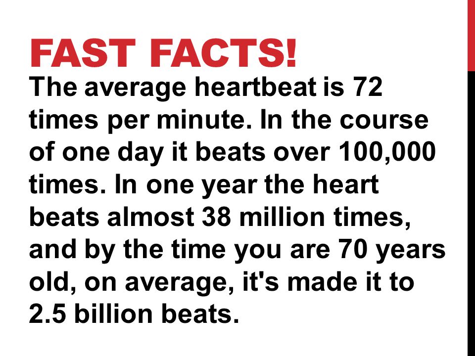 FAST FACTS. The average heartbeat is 72 times per minute.
