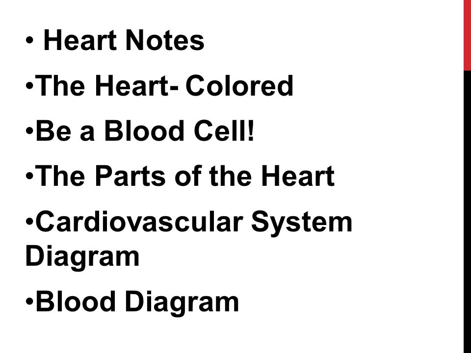 Heart Notes The Heart- Colored Be a Blood Cell.