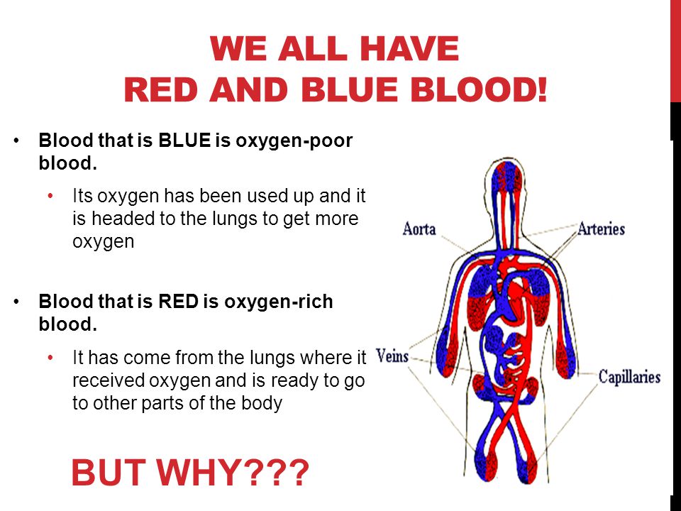 WE ALL HAVE RED AND BLUE BLOOD. Blood that is BLUE is oxygen-poor blood.