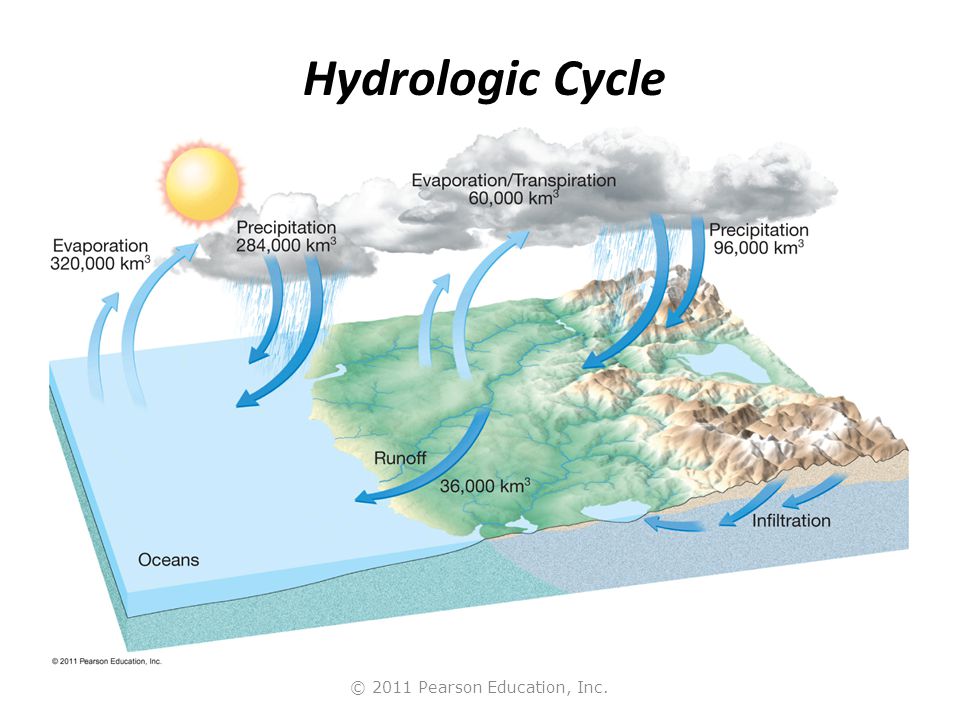 © 2011 Pearson Education, Inc. Hydrologic Cycle