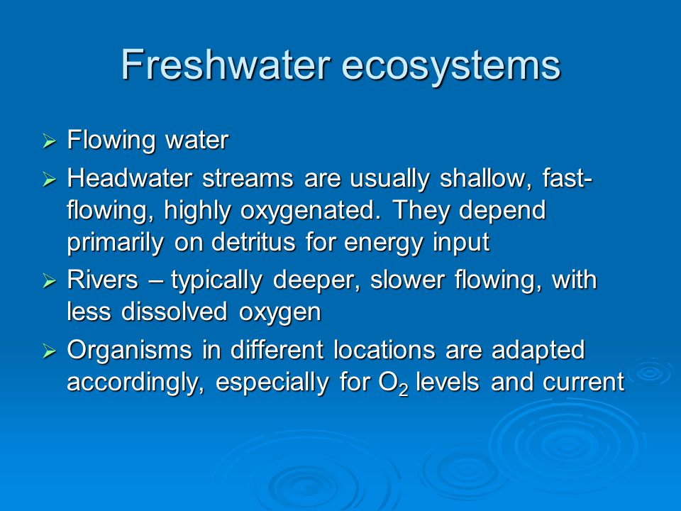 Freshwater ecosystems  Flowing water  Headwater streams are usually shallow, fast- flowing, highly oxygenated.